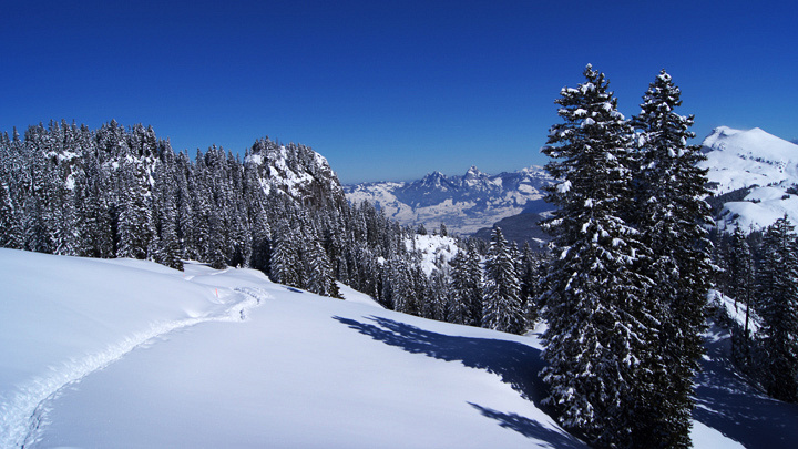 Schneeschuhtouren in der Schweiz